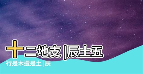 屬土需要什麼|【土屬性的東西】土屬性的東西帶來好運！土屬性的吉祥圖片和物。